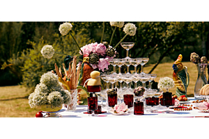 Verrerie vintage pour cocktails & réceptions : le guide complet